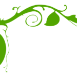 branch, leaves, ornament-307129.jpg