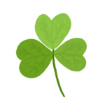 clover, plant, leaf-7876940.jpg