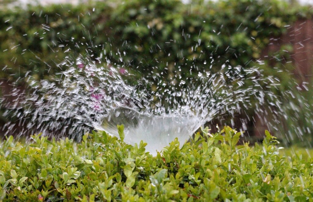 irrigation, splash, water-2402568.jpg